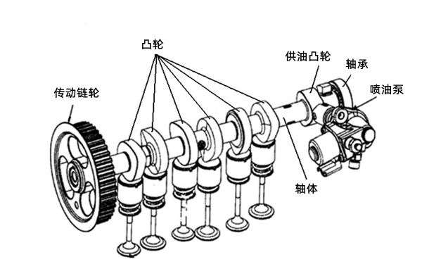 凸輪軸結構圖-柴油發電機組.png