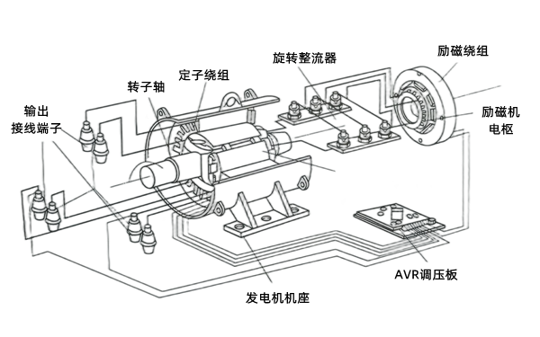 無刷交流發電機結構圖.png