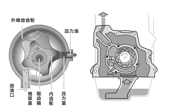 機油泵結構剖面圖-柴油發電機組.png