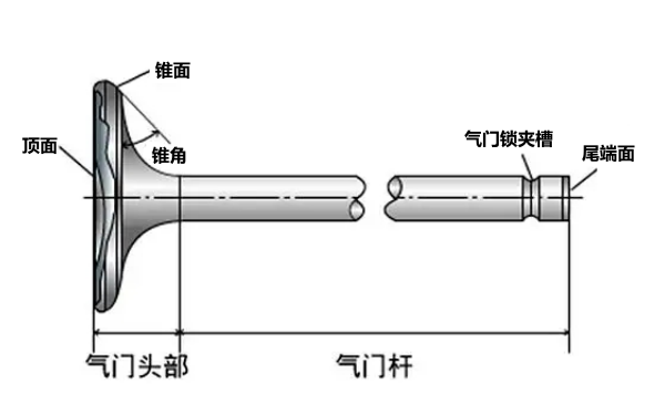 柴油發(fā)動機氣門結(jié)構(gòu)圖.png