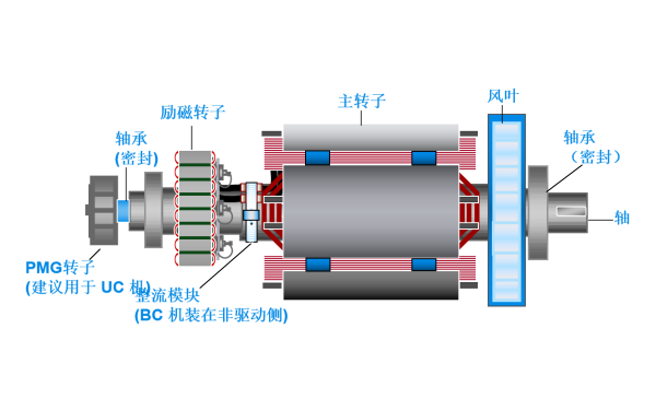 斯坦福發電機雙軸承轉子總成.png