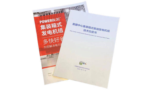 數據中心集裝箱式備用柴油發電機組技術白皮書-康明斯.png