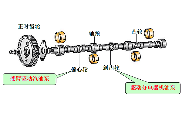 柴油機(jī)凸輪軸結(jié)構(gòu)圖.png