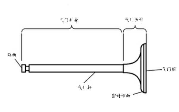 氣門的構造.png