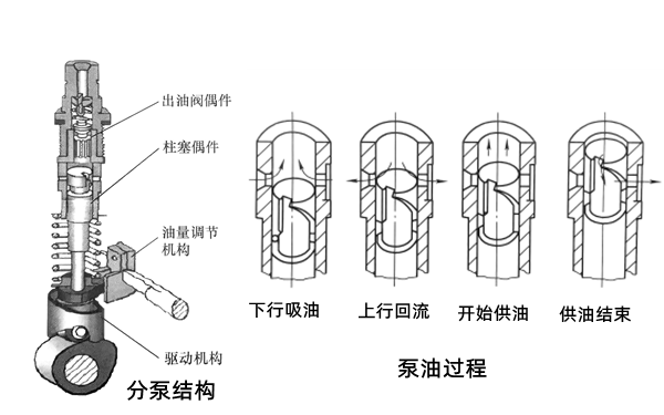 燃油泵分配泵結(jié)構(gòu)和原理圖-柴油發(fā)電機(jī)組_副本.png