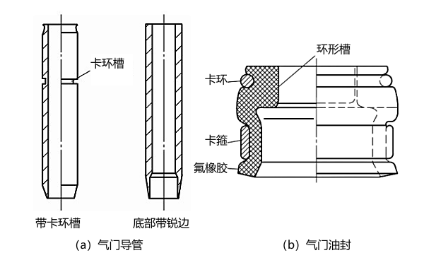 氣門導管和油封結構圖.png