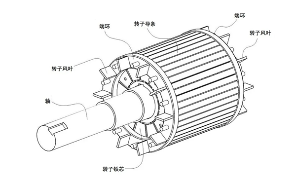 轉子結構-交流發電機.png