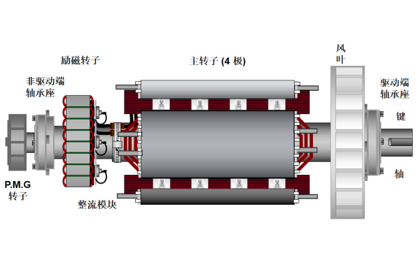 發(fā)電機主轉子總成結構圖.png